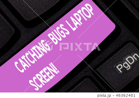 Text sign showing Catching Bugs Laptop Screen Text sign showing Catching Bugs Laptop Screen 46362401