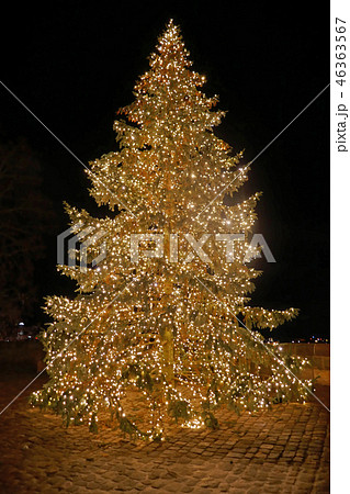 ニュルンベルク・カイザーブルクのクリスマスツリー 46363567