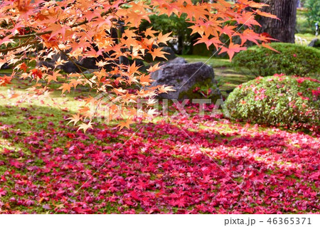 由志園の秋 紅葉狩り 由志園の秋 紅葉狩り 46365371