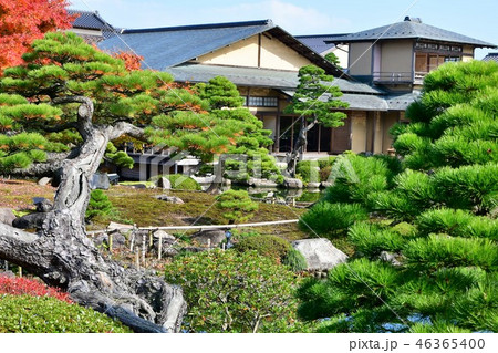 由志園の秋 紅葉狩り 由志園の秋 紅葉狩り 46365400