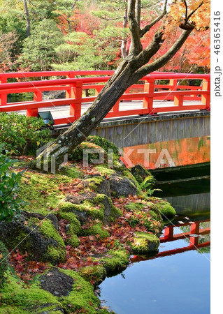 由志園の秋　紅葉狩り 46365416