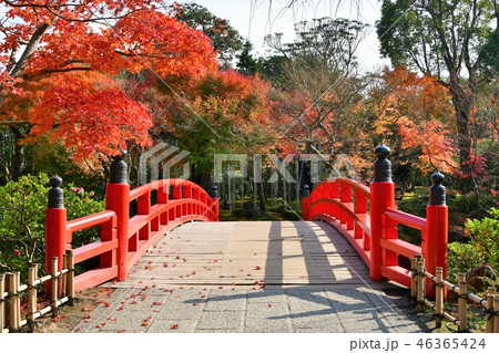 由志園の秋　紅葉狩り 46365424
