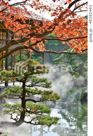 由志園の秋　紅葉狩り 46365461