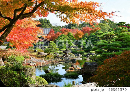 由志園の秋 紅葉狩り 由志園の秋 紅葉狩り 46365579