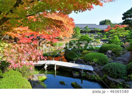 由志園の秋　紅葉狩り 46365580