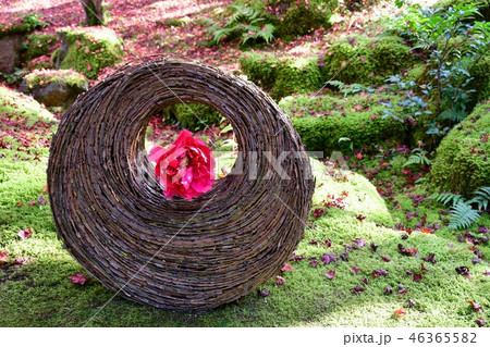 由志園の秋　紅葉狩り 46365582