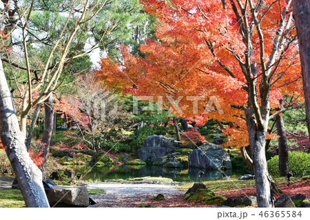 由志園の秋　紅葉狩り 46365584