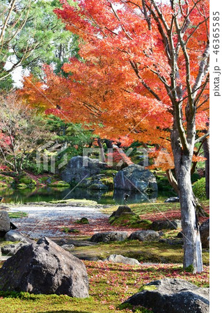 由志園の秋　紅葉狩り 46365585