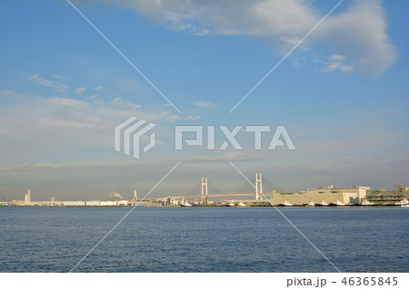 横浜 46365845