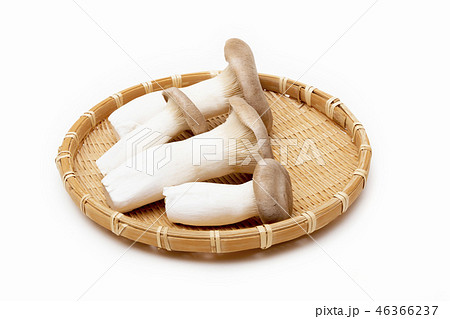 エリンギ 46366237