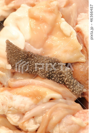 和牛ホルモン。 46366487