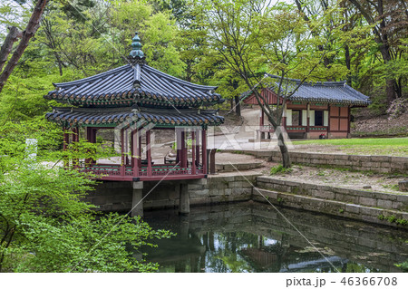 昌徳宮 建築 韓国 46366708