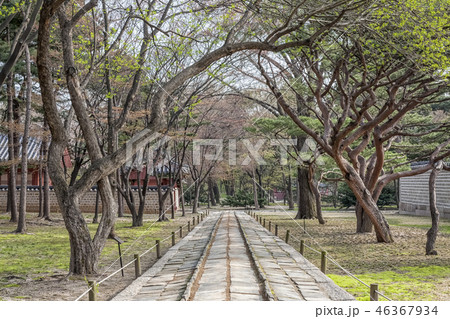 鍾路区 祠堂 世界文化遺産 46367934