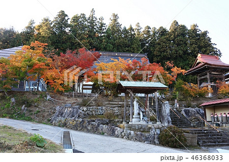信州飯山大聖寺紅葉 46368033