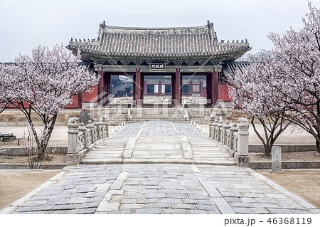 昌慶宮 鍾路区 明政門 46368119