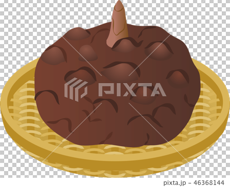 コンニャクイモ コンニャクイモ 46368144