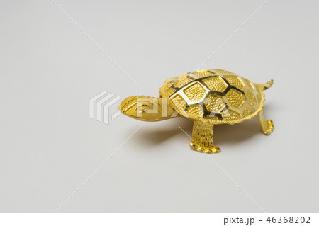 金の 黄金 富 46368202