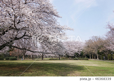 大庭城址公園 46368339