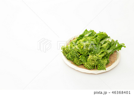 菜の花 46368401
