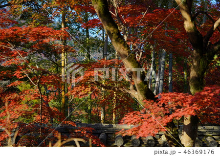 秋の京都 秋の京都 46369176