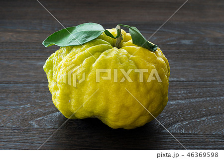 鬼柚子 鬼柚子 46369598