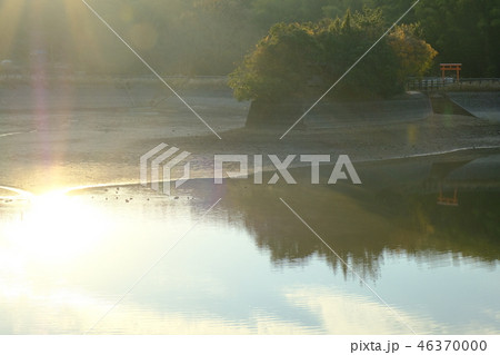 朝日を浴びる龍神池（奈良市山町） 46370000