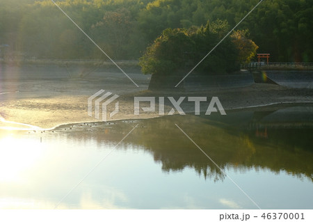 朝日を浴びる龍神池（奈良市山町） 46370001