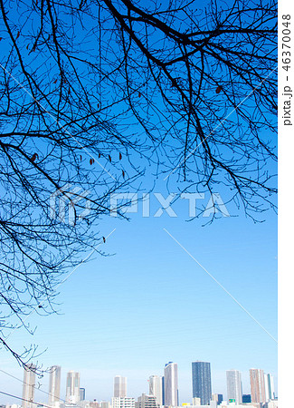 山から見えるタワーマンション群 46370048