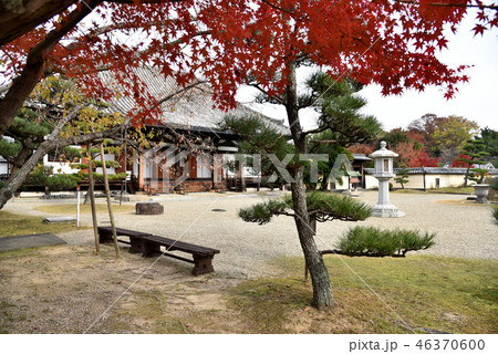 秋の法華寺 秋の法華寺 46370600