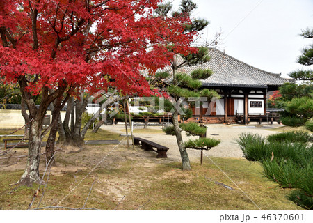 秋の法華寺 46370601