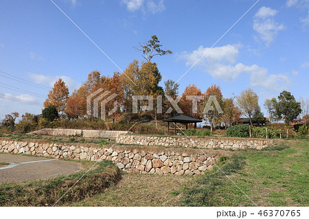 山田池公園の紅葉（里山）大阪府枚方市 46370765