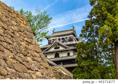 現存天守　松江城跡 46371677