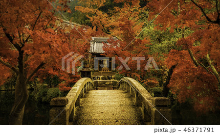 京都の秋 46371791