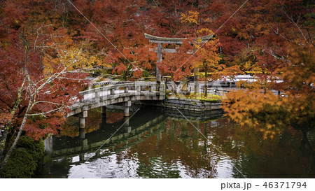 京都の秋 46371794