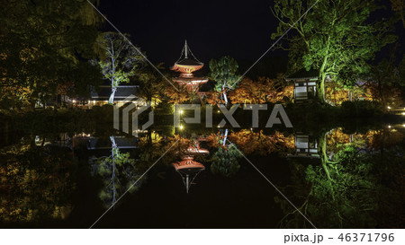 京都の秋 46371796