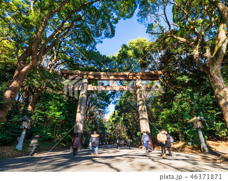 明治神宮 南参道 明治神宮 南参道 46371871