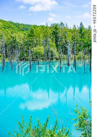 【北海道】青い池 46372209