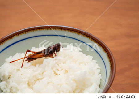 ご飯とイナゴの佃煮 ご飯とイナゴの佃煮 46372238