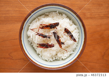 ご飯とイナゴの佃煮 46372313