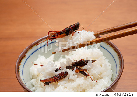 ご飯とイナゴの佃煮の写真素材