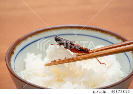 ご飯とイナゴの佃煮 ご飯とイナゴの佃煮 46372319