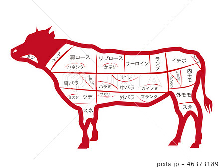 牛 部位 Png 赤 横向き 全身 透過 透明 焼き肉 ステーキ 精肉 肉 ポスター パネルのイラスト素材 46373189 Pixta