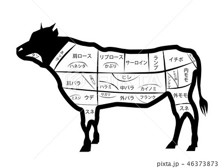 牛 部位 全身 肉 ステーキ 焼き肉 メニュー 黒 白黒 精肉 ピング Png 背景 透明 透過のイラスト素材 46373873 Pixta