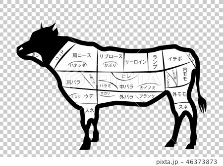 牛 部位 全身 肉 ステーキ 焼き肉 メニュー 黒 白黒 精肉 ピング Png 背景 透明 透過のイラスト素材