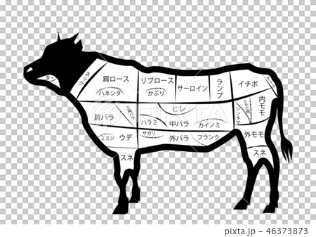 牛 部位 全身 肉 ステーキ 焼き肉 メニュー 黒 白黒 精肉 ピング Png 背景 透明 透過のイラスト素材