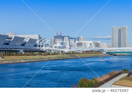 豊洲市場 46375097