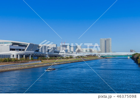 豊洲市場 46375098