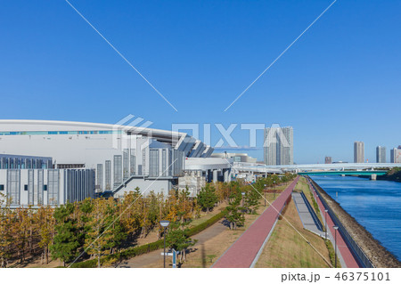 豊洲市場 46375101