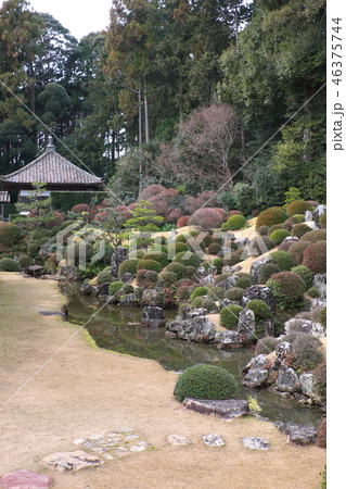 龍潭寺 庭園 国指定 龍潭寺 庭園 国指定 46375744