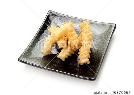つな揚 つな揚 46376667